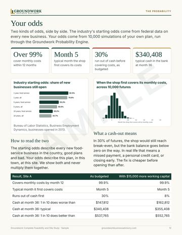 Sample feasibility study page: Your odds